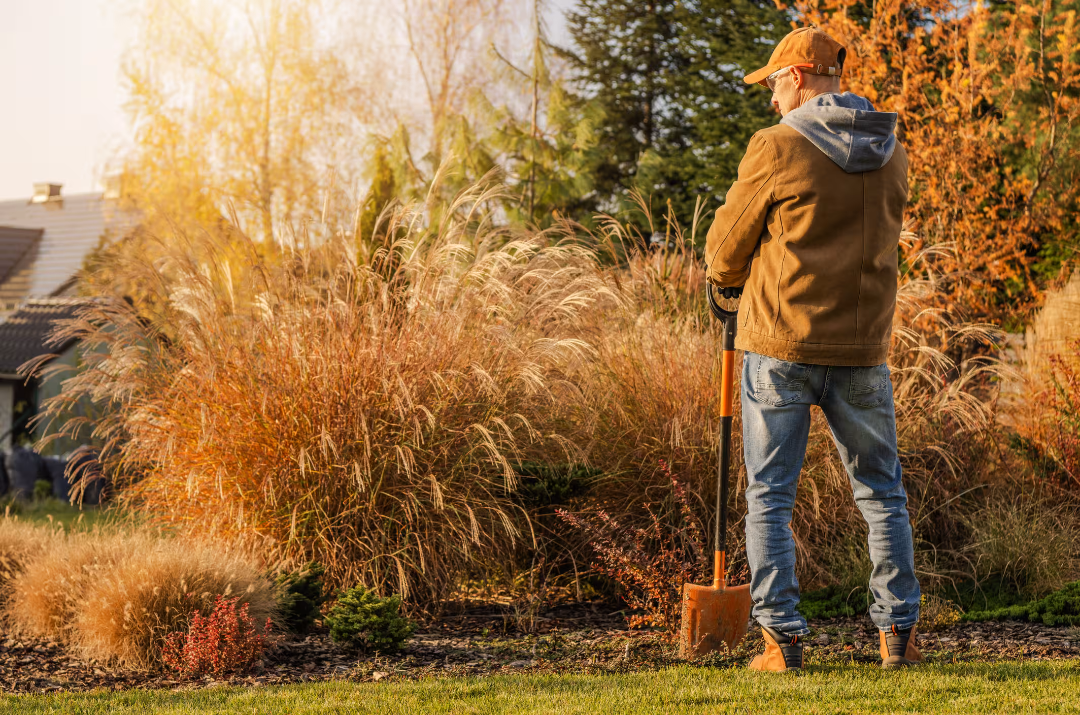 Hombre en el jardín.