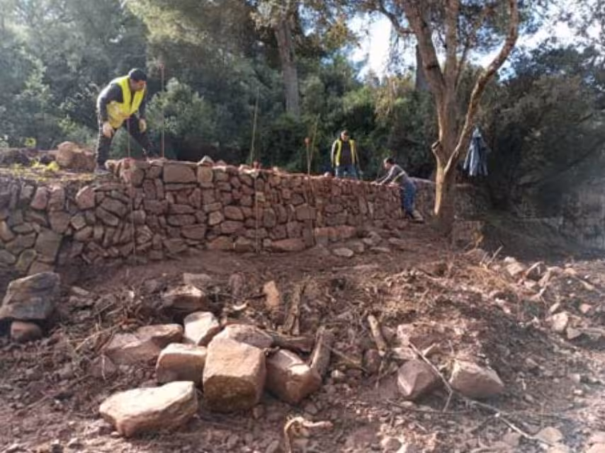 Torrent de Son Gras.