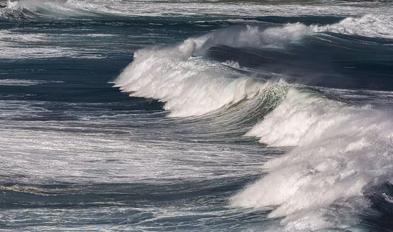 (Foto: Mikel Llambias)