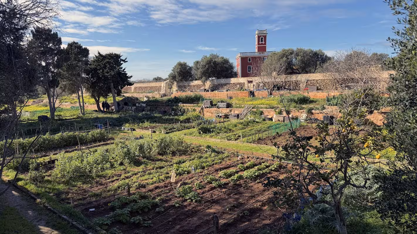 Huertos de sa Vinyeta.