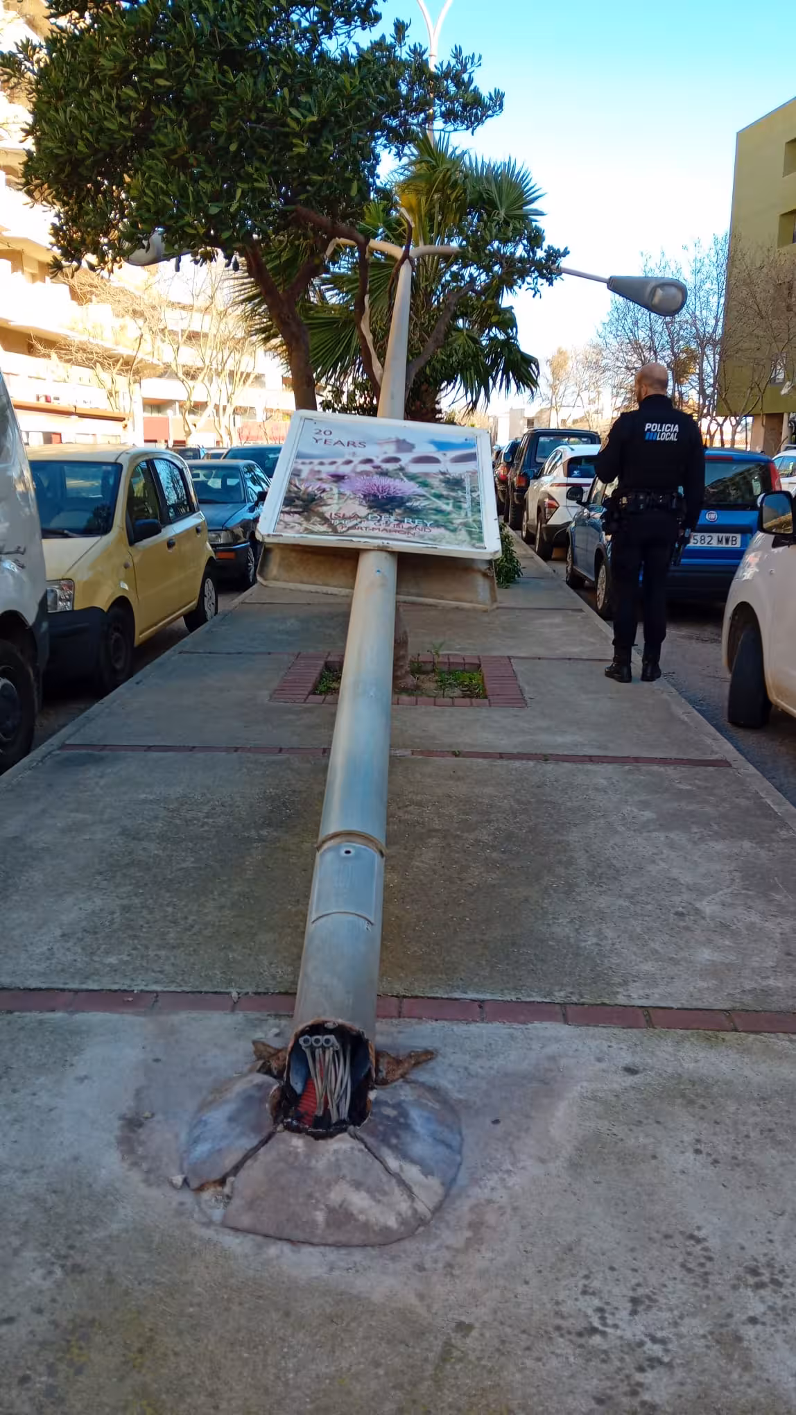 Imagen del artículo: (Fotos)