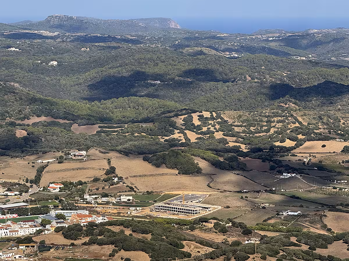 Se podrá conocer cuánto carbono almacenan los árboles del norte de Menorca, entre otras opciones.