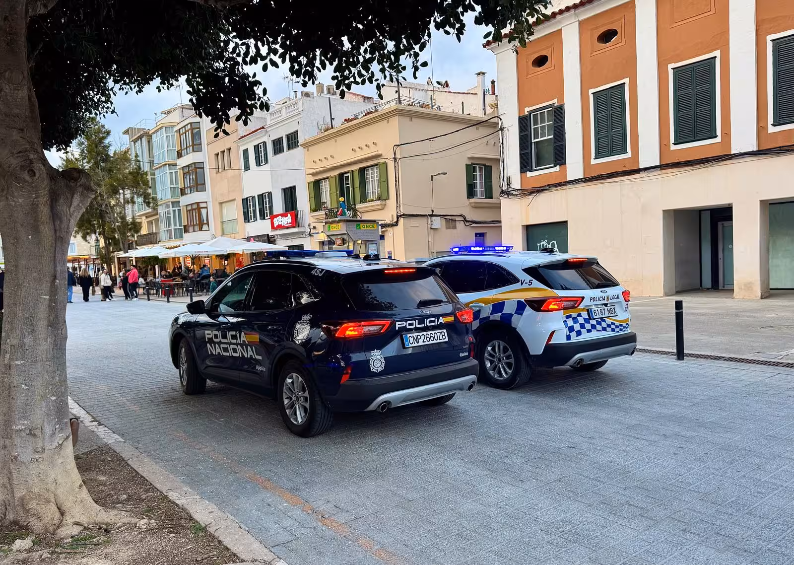 Imagen del artículo: Mucha expectación pero ningún therian en Maó