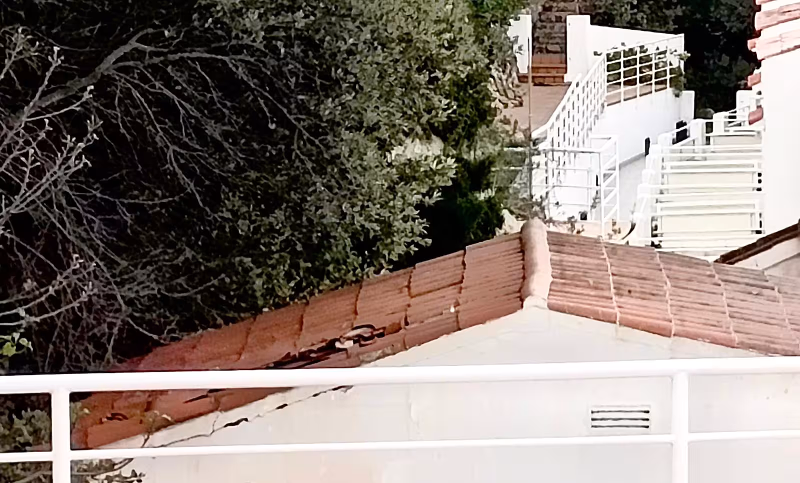 Un agujero en una casa en Serpentona, un árbol en un chalé y la Plaça dels Pins son las zonas más fectadas por el fuerte viento. (Fotos: SERGIO MORENO)