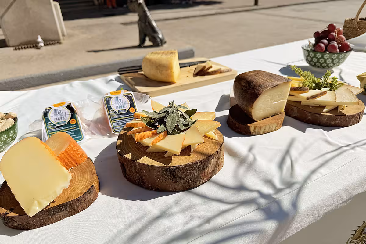 Nuevo apoyo del Consell al Queso Mahón-Menorca.