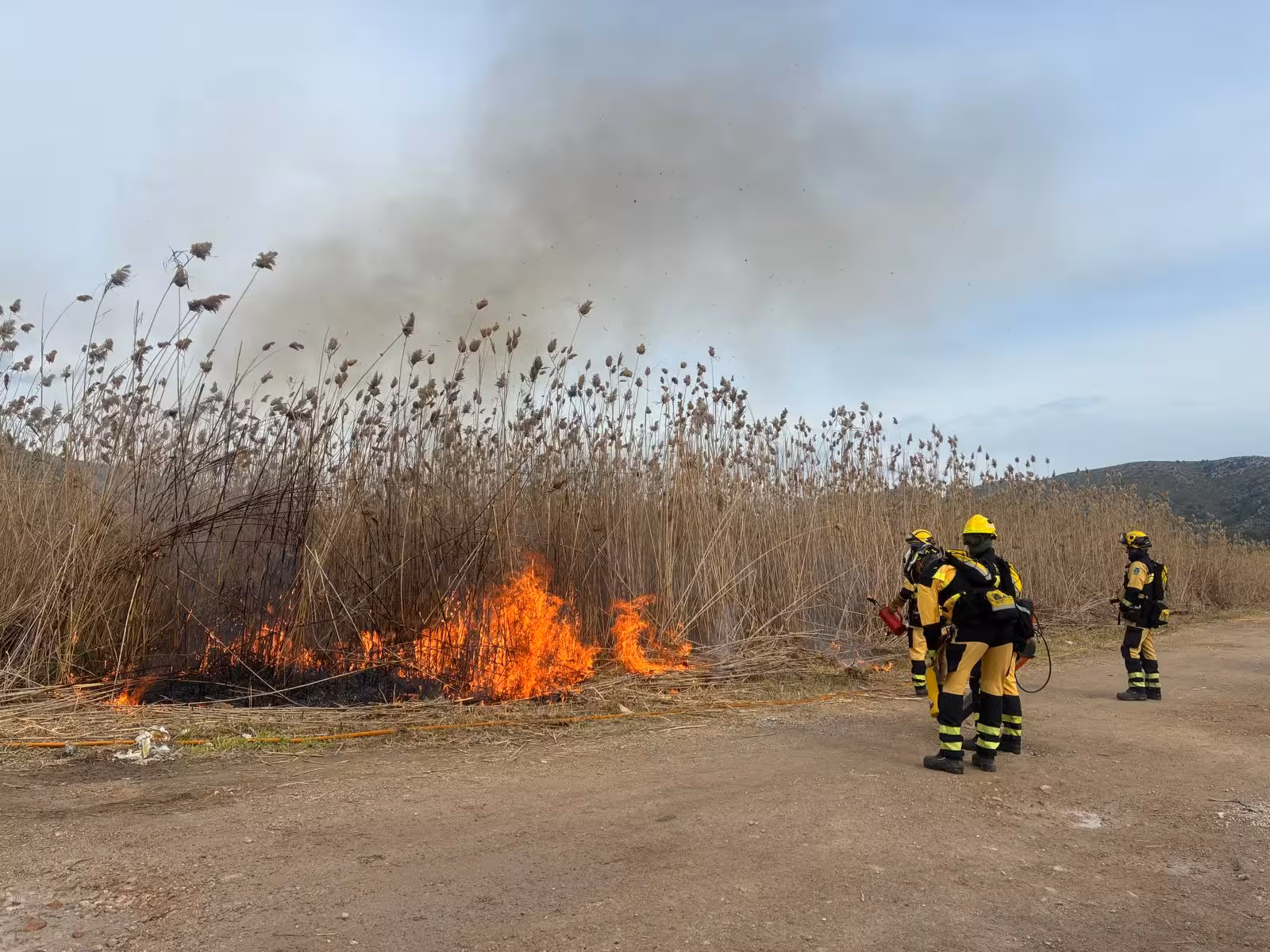 Menorca llega a junio con un solo incendio forestal en lo que va de año