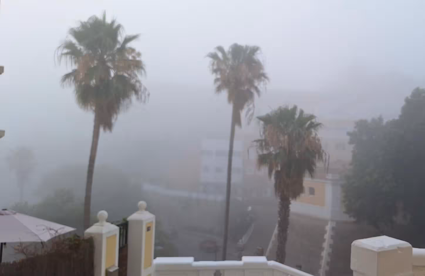 Imagen 12 de 14