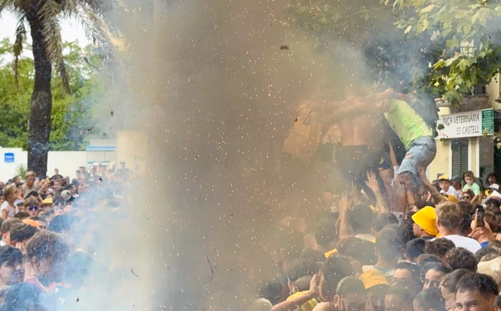 Imagen 7 de 16