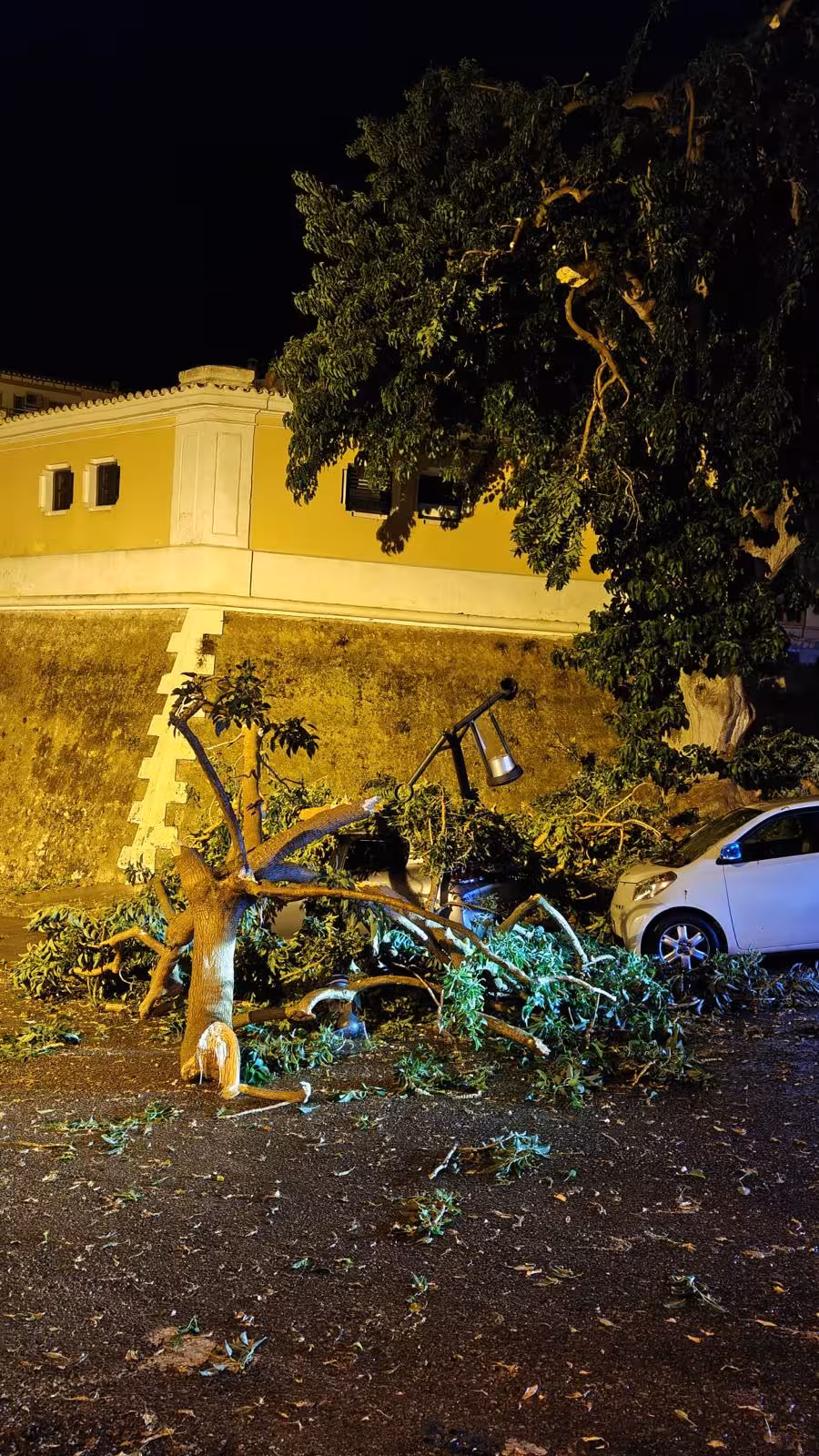 Imagen 8 de 22