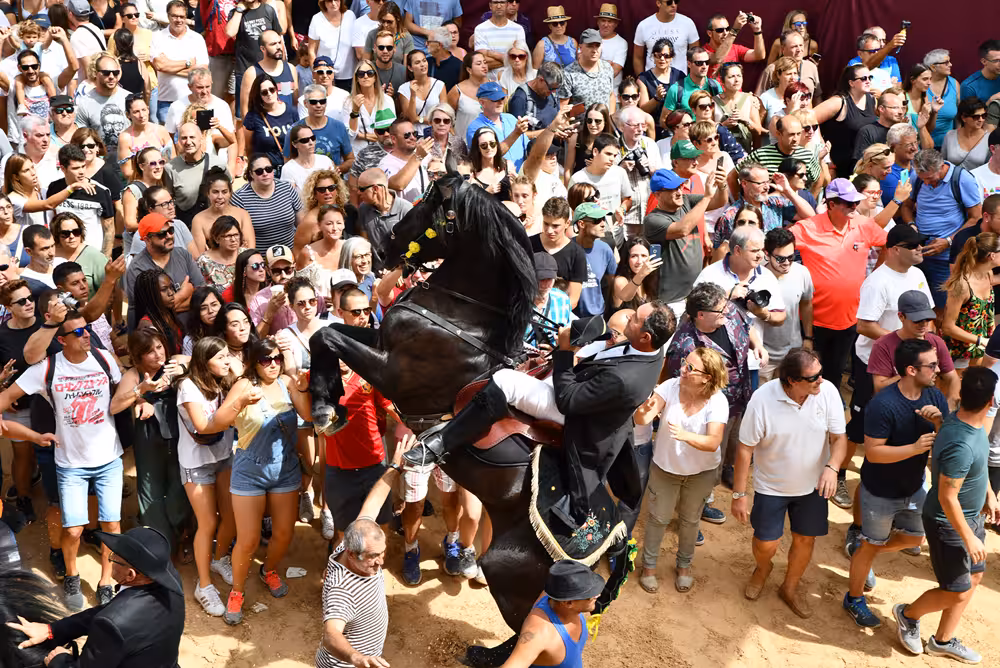 Imagen del artículo: Maó refuerza los puntos de agua para garantizar el bienestar de los caballos durante las fiestas de Gràcia